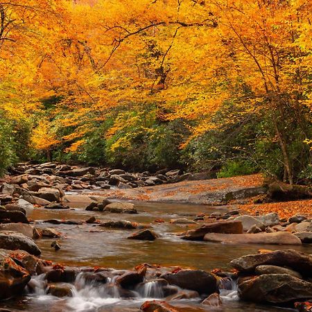 Peace, Serenity & Relaxation In The Smokies! Gatlinburg Exterior foto